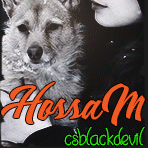 hossam.