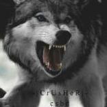 |CrUsHeR|
