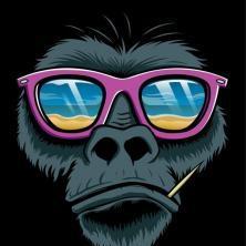 RunOrDie
