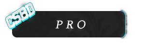 Pro.png