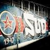 Ultras Steaua